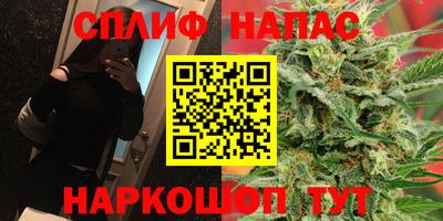 прущие грибы Лесосибирск