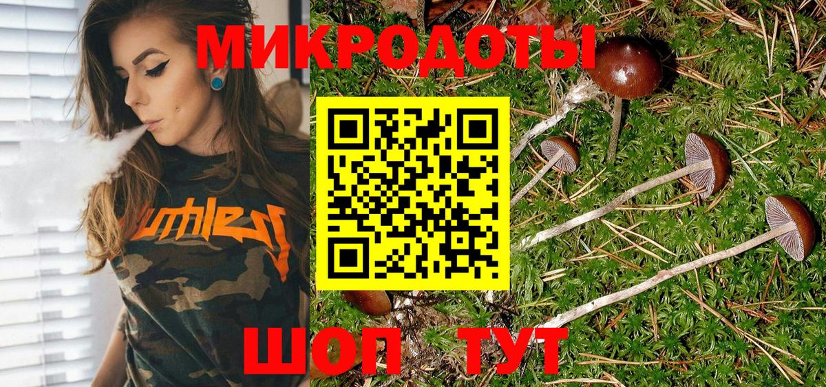 Кизилюрт  Псилоцибиновые грибы мухоморы  Вход с VPN 