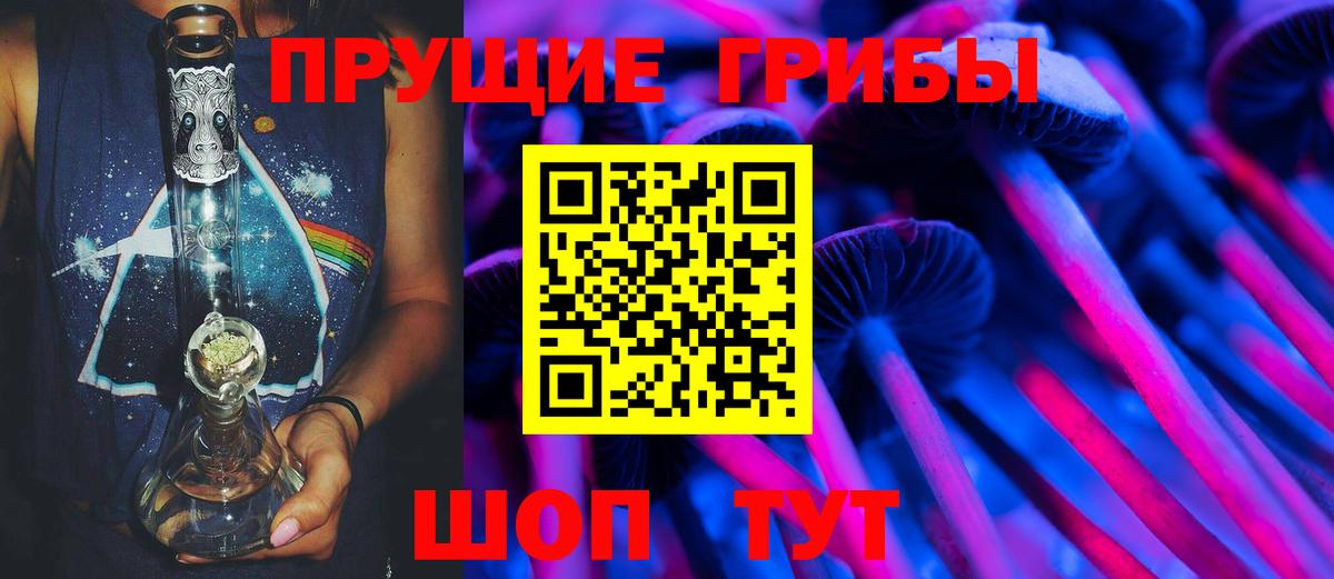 Псилоцибиновые грибы Psilocybine cubensis Кизилюрт